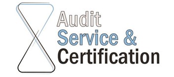 Logo audit
